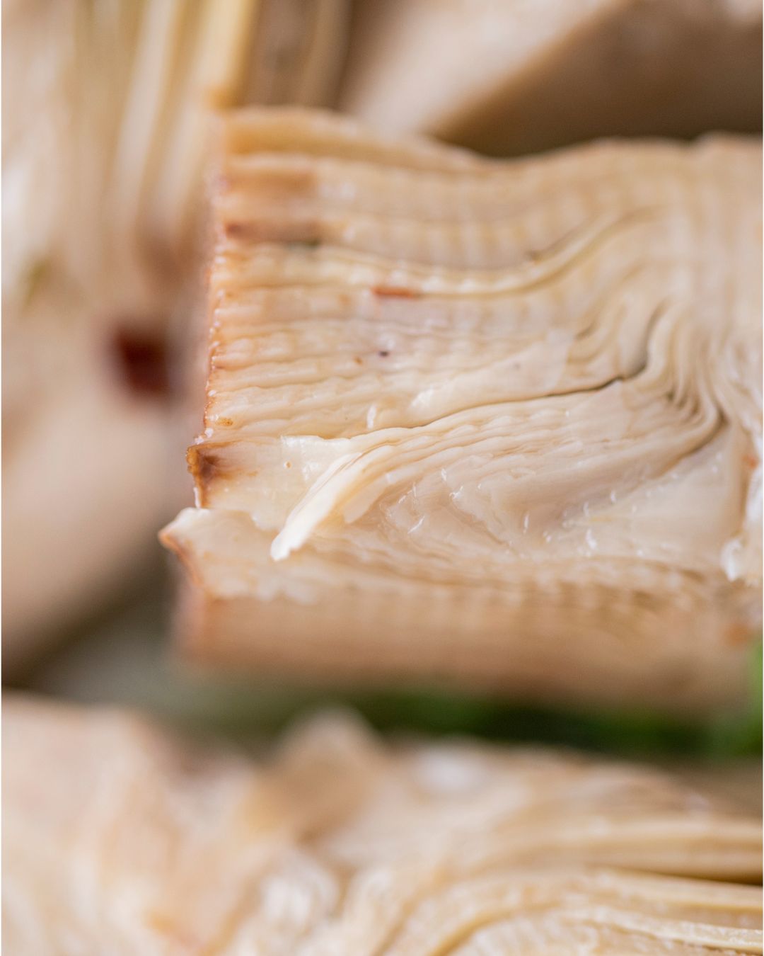 Conserve dal fresco: la filiera corta di Agricola Capuano