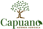 agricola-capuano-logo-290x200-1.png